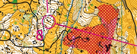 World Cup Long Distance Switzerland