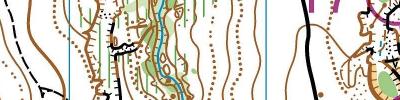 Petticoat Gully Race Simulation