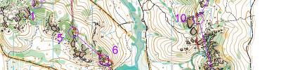 2021 NSW Championships Long Distance