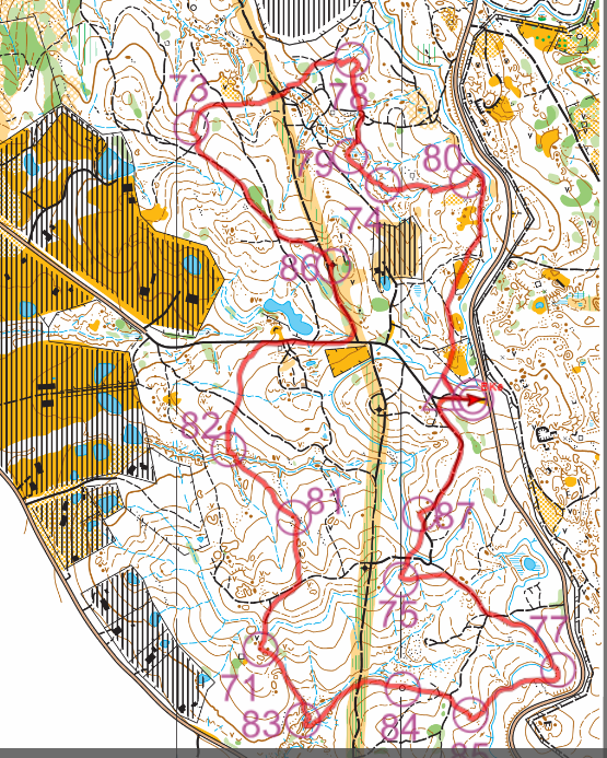 Easy orienteering (05/08/2023)