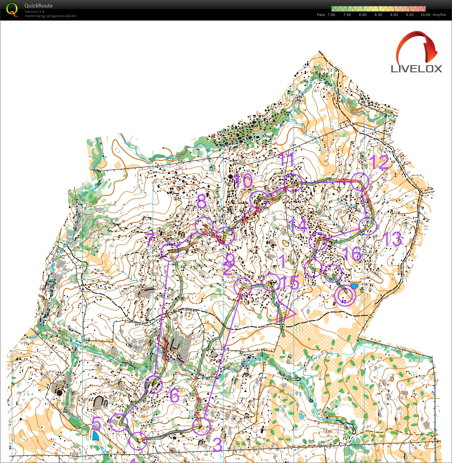 2024 Australian Championships Middle Distance (28/09/2024)