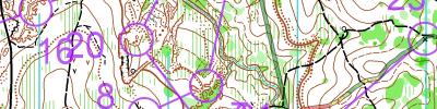 2025 Vic State Series 5 (08.06.2025)