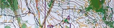 WMOC Forest qualifier (2025-08-12)