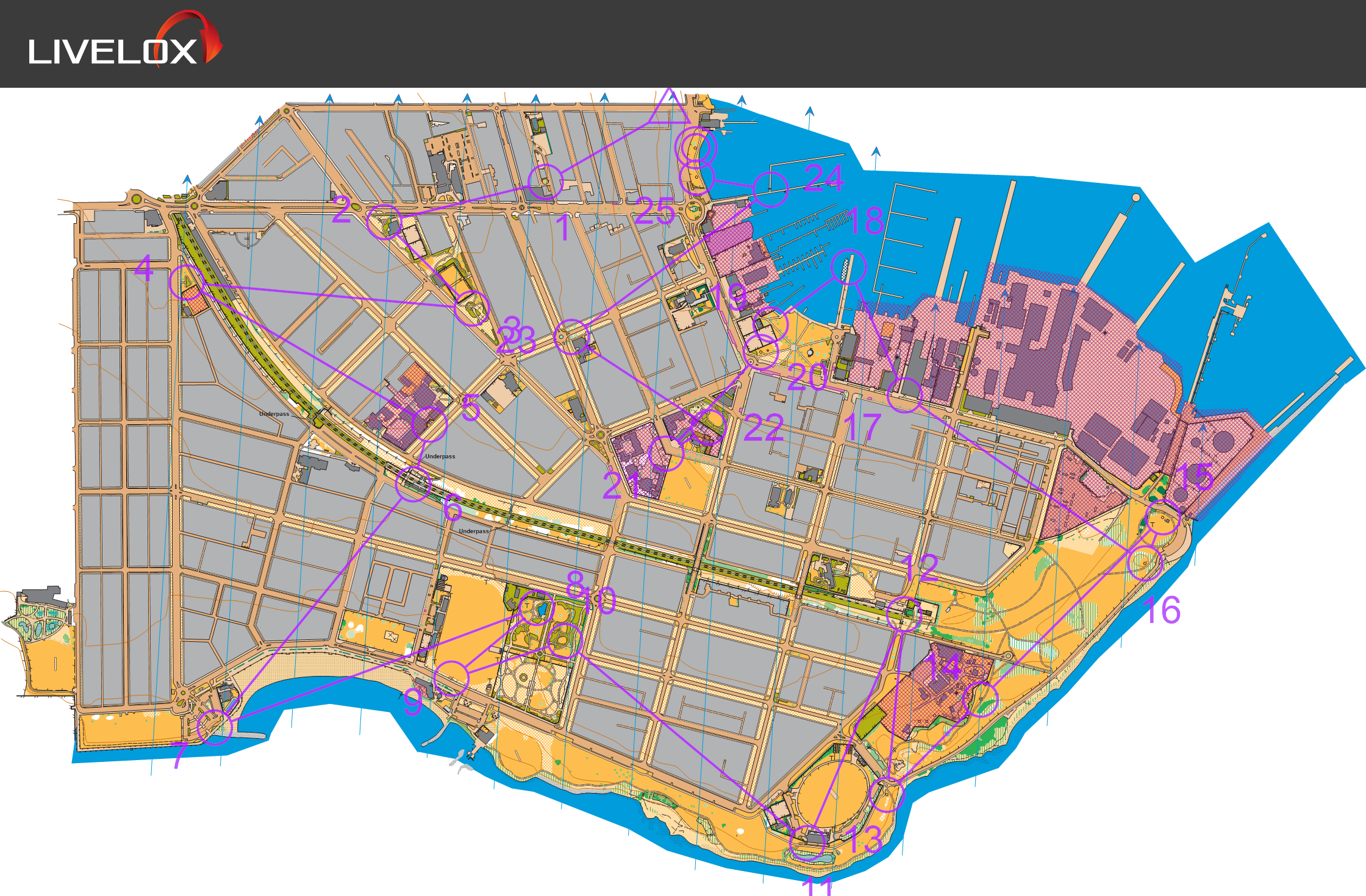 2025 Melbourne City Race (2025-11-23)