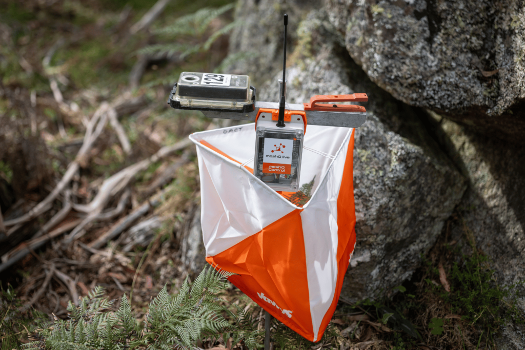 meshO image - Orienteering Australia