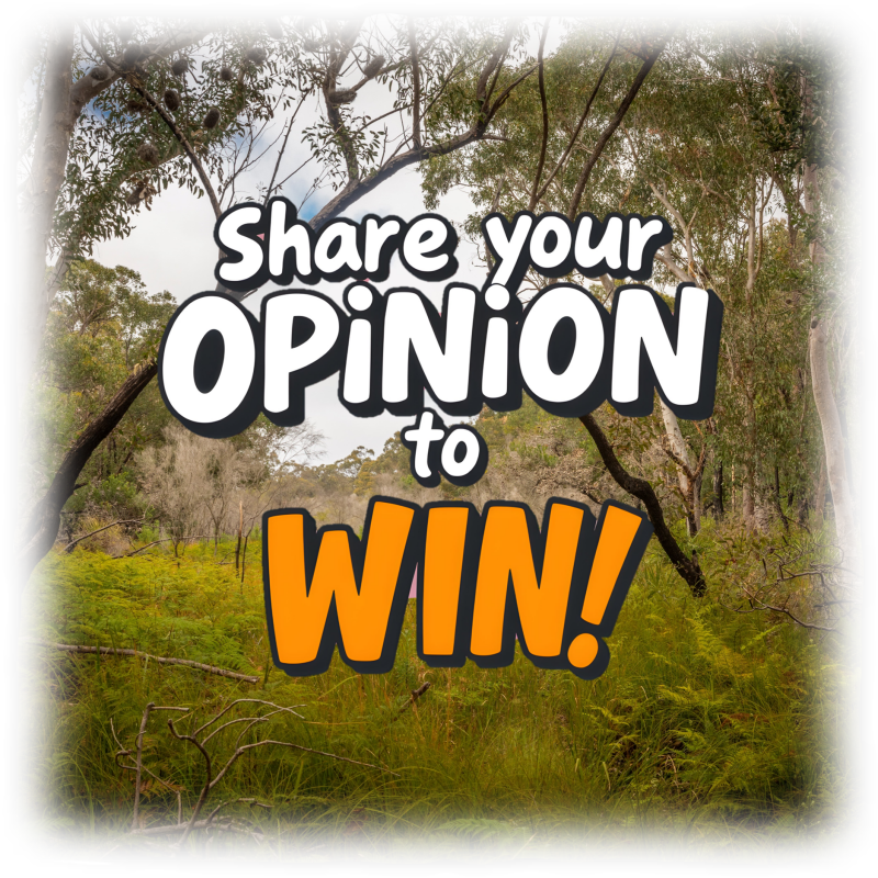 Share your opinion to WIN!