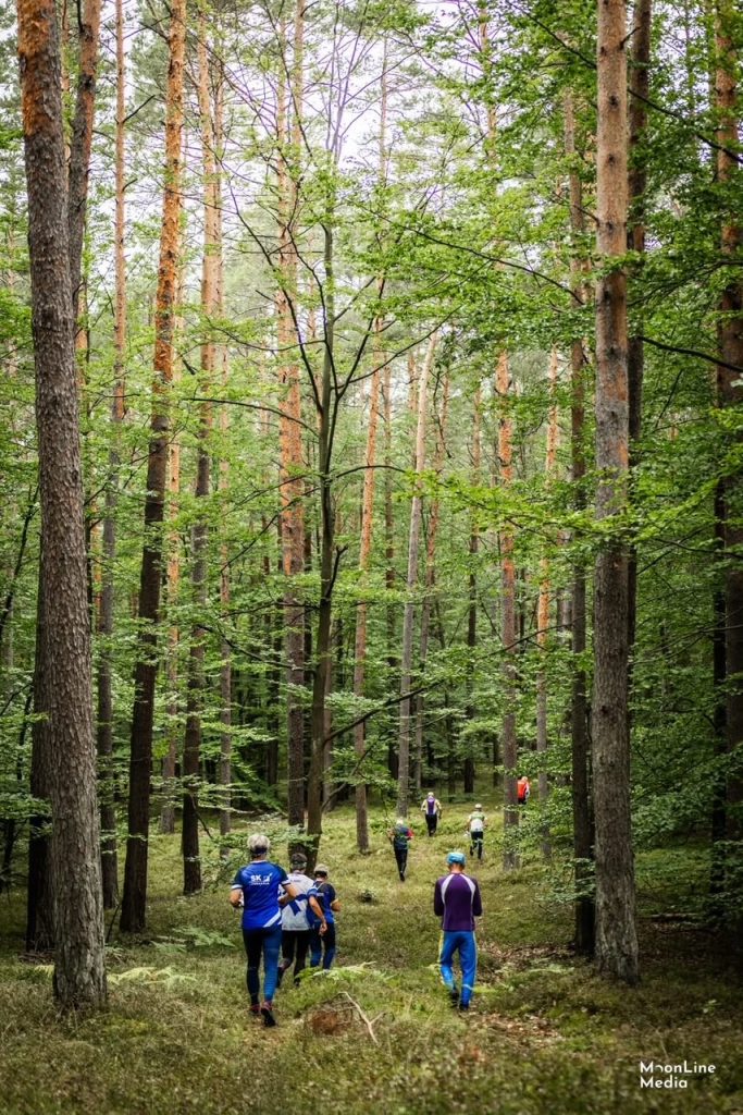 image1 - Orienteering Australia Group of hikers walking along a narrow forest trail lined with tall trees and green undergrowth. Finishing line shows several people ahead, suggesting a forest hike or trail run.